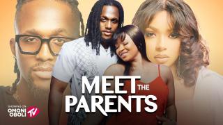 سلسلة أفلام Meet the Parents مترجم